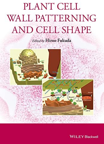 Plant Cell Wall Patterning and Cell Shape