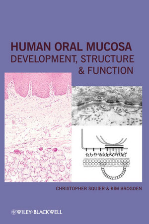 Human Oral Mucosa : Development, Structure and Function.