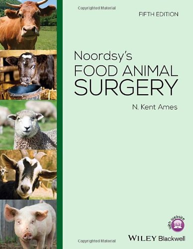 Noordsy's food animal surgery