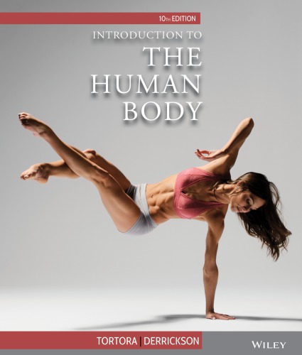 Introduction to the Human Body