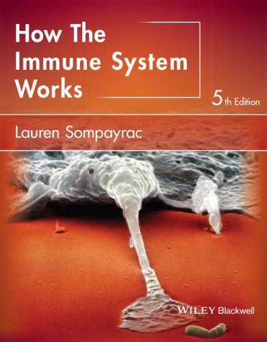 How the immune system works