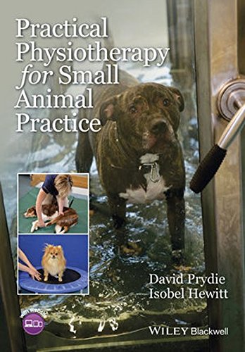 Practical physiotherapy for small animal practice