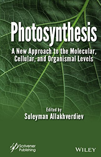 Photosynthesis