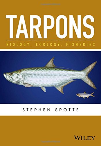 Tarpons