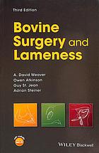 BOVINE SURGERY AND LAMENESS.