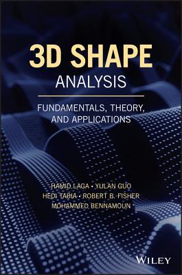 3D Shape Analysis