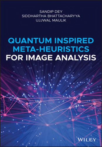 Quantum inspired meta-heuristics for image analysis