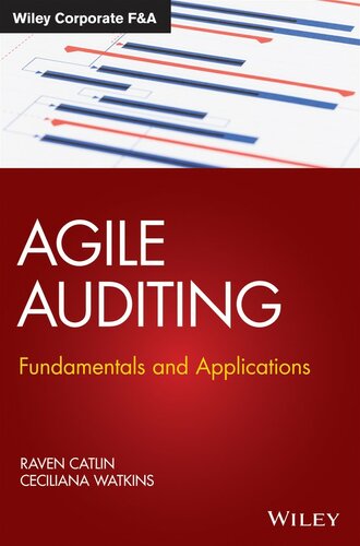 Agile Auditing