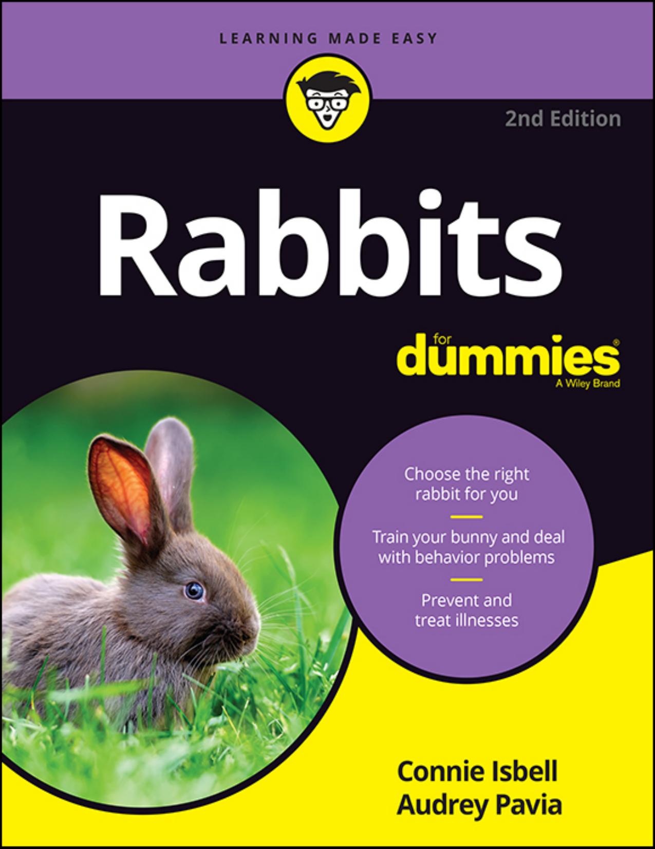 Rabbits For Dummies