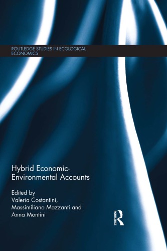 Hybrid Economic-Environmental Accounts