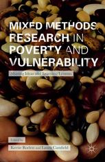 Mixed Methods Research in Poverty and Vulnerability [recurso electrónico] : Sharing Ideas and Learning Lessons