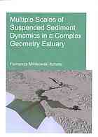 Multiple Scales of Suspended Sediment Dynamics in a Complex Geometry Estuary
