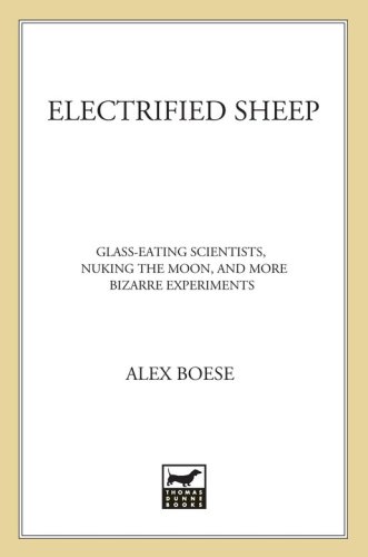 Electrified Sheep