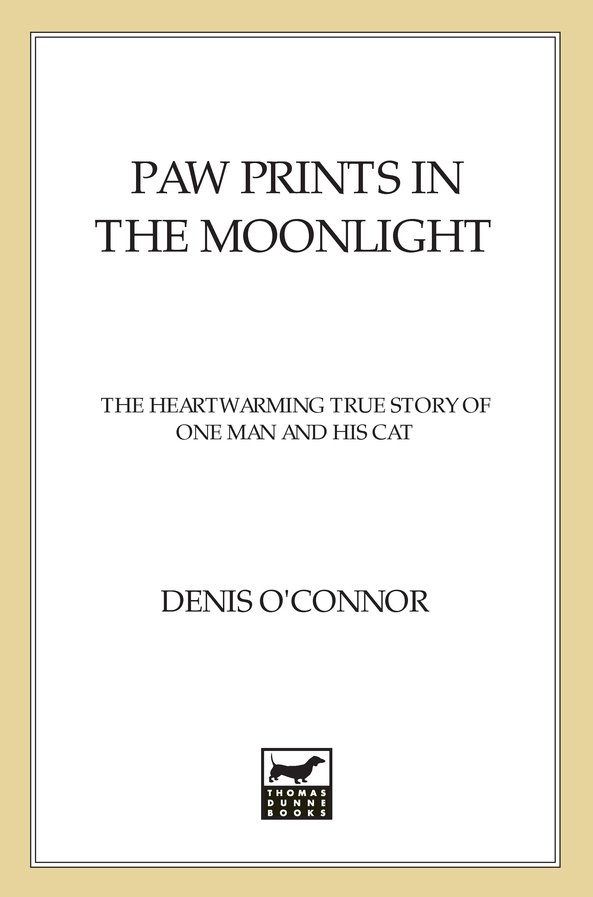 Paw Prints in the Moonlight