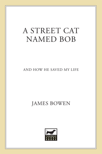 A Street Cat Named Bob