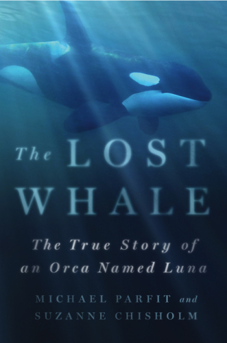 The Lost Whale