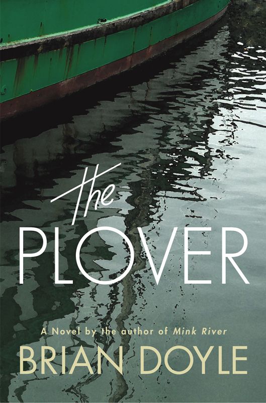 The Plover