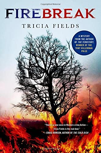 Firebreak: A Mystery (Josie Gray Mysteries)