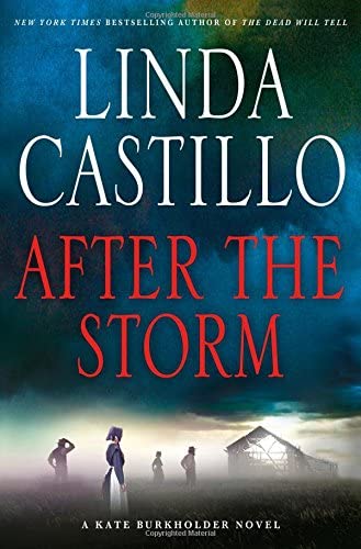 After the Storm: A Kate Burkholder Novel (Kate Burkholder, 7)