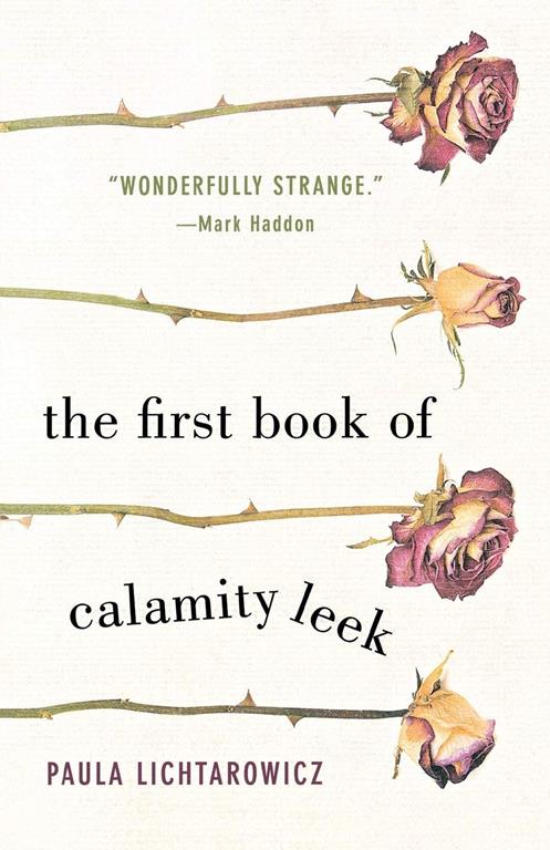 The First Book of Calamity Leek: A Novel