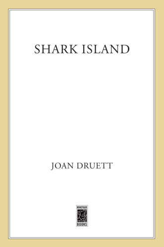 Shark Island