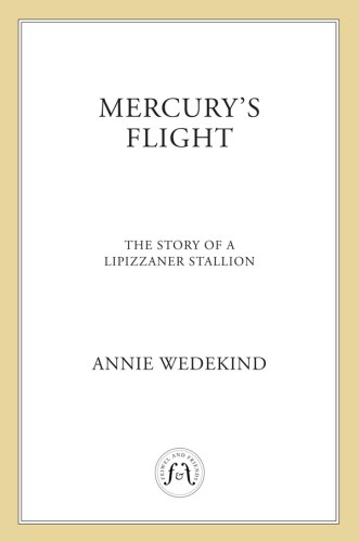 Mercury's Flight