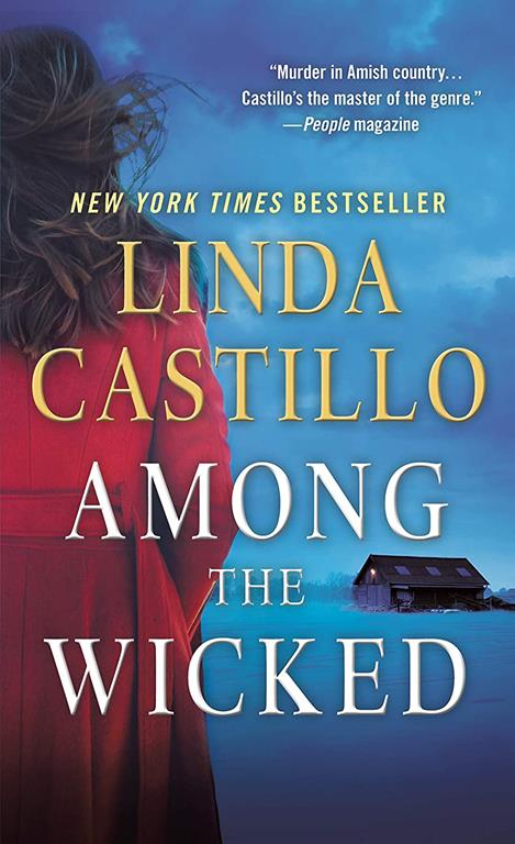 Among the Wicked: A Kate Burkholder Novel (Kate Burkholder, 8)