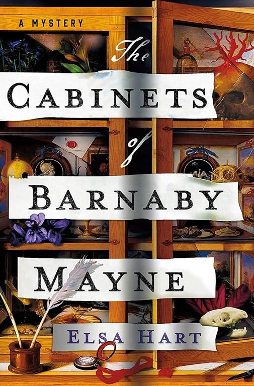 The Cabinets of Barnaby Mayne: A Mystery