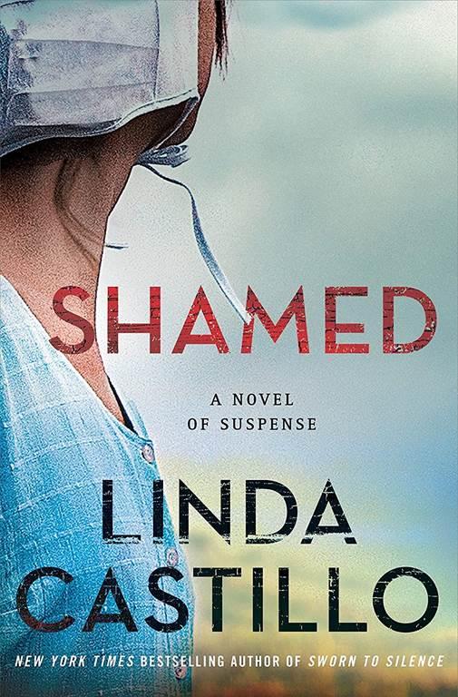 Shamed: A Novel of Suspense (Kate Burkholder, 11)