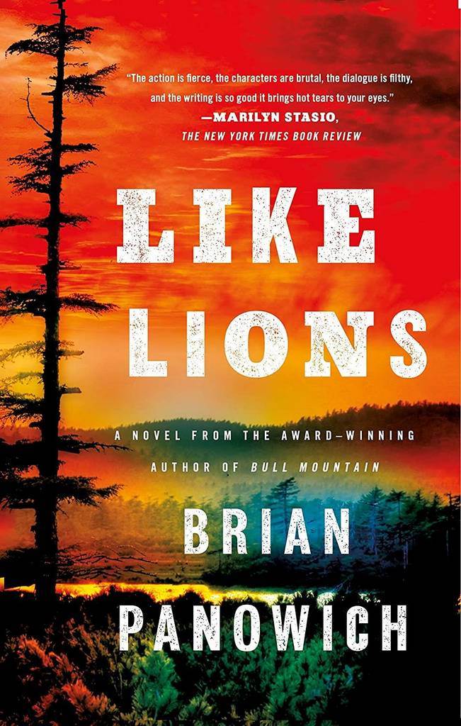 Like Lions: A Novel (Bull Mountain)