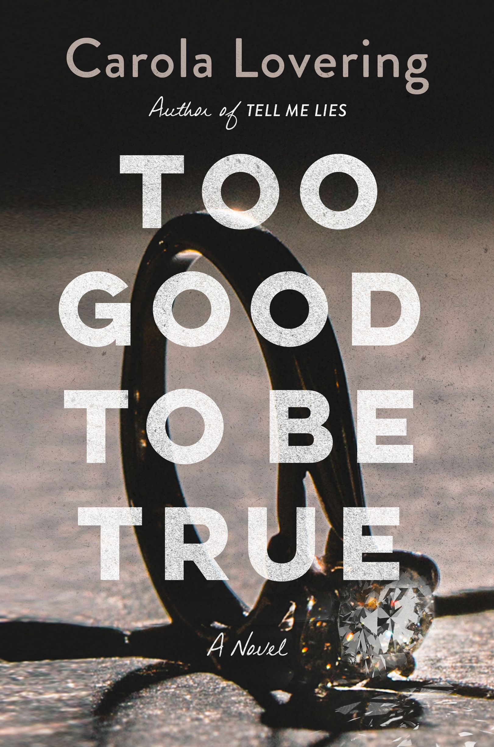 Too Good to Be True: A Novel