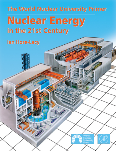 Nuclear Energy in the 21st Century