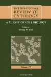 International Review of Cytology, Volume 175