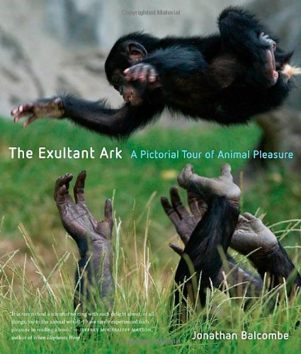 Exultant Ark