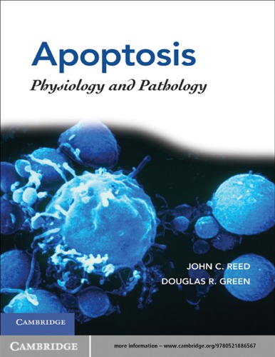 Apoptosis
