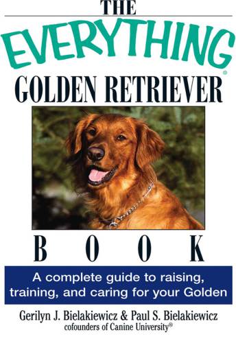 Everything Golden Retriever Book