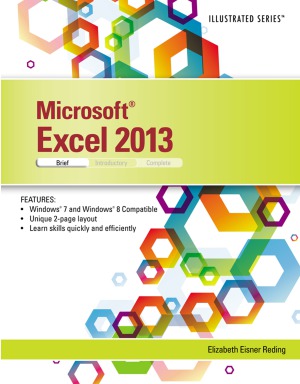 Microsoft Excel 2013