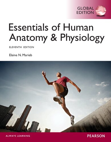 Essentials of Human Anatomy &amp; Physiology, Global Edition