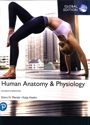 Human Anatomy &amp; Physiology