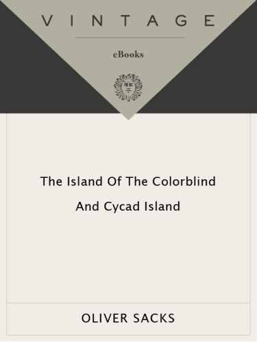 Island of the Colorblind