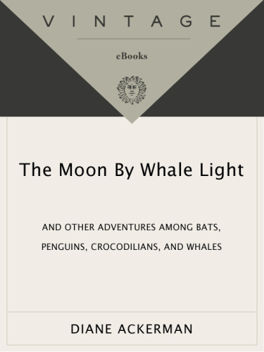 Moon by Whale Light