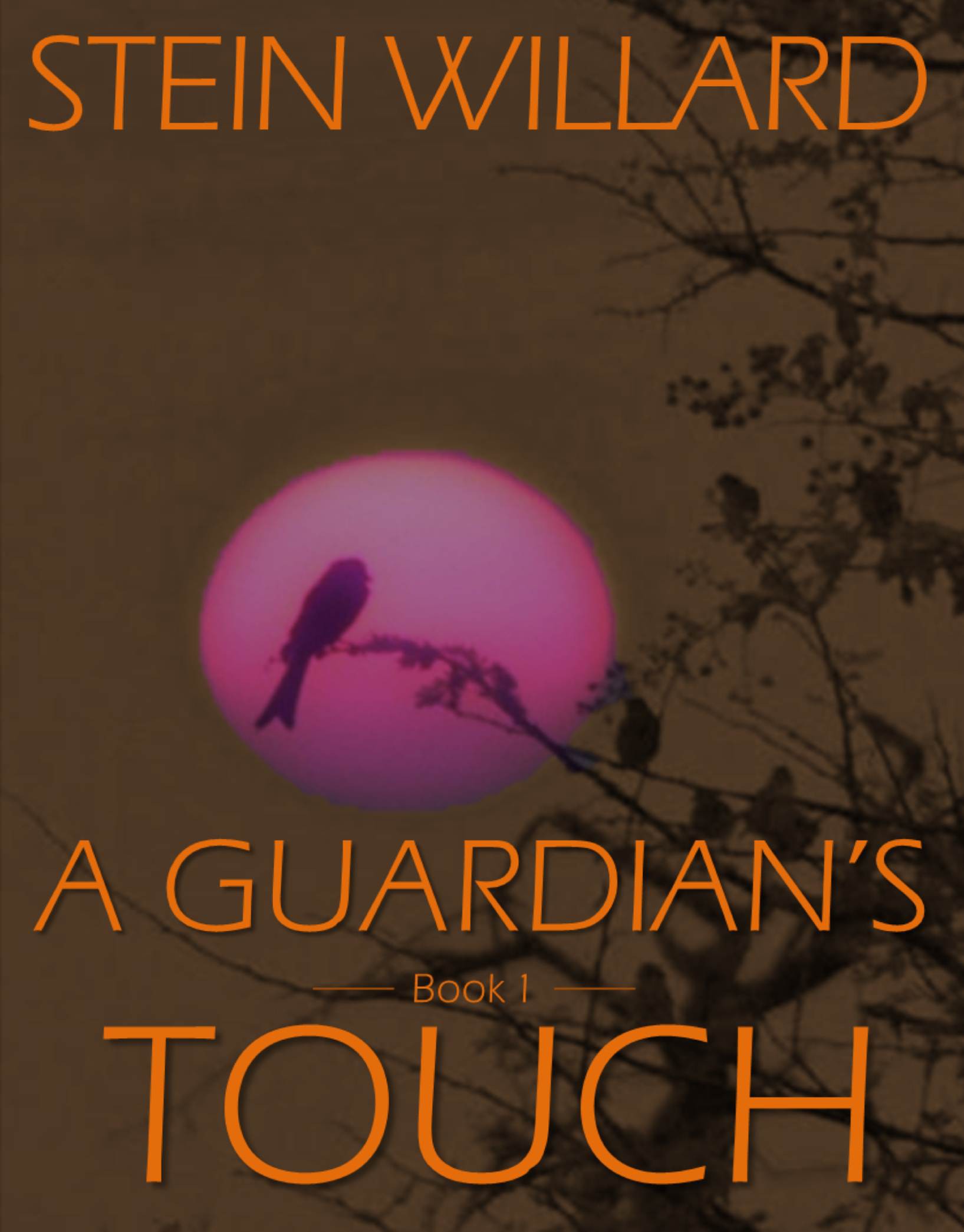 A Guardian's Touch