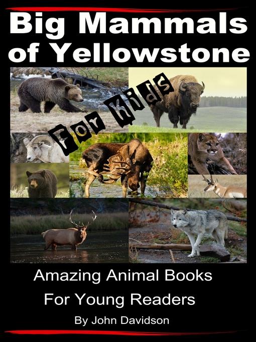 Big Mammals of Yellowstone For Kids