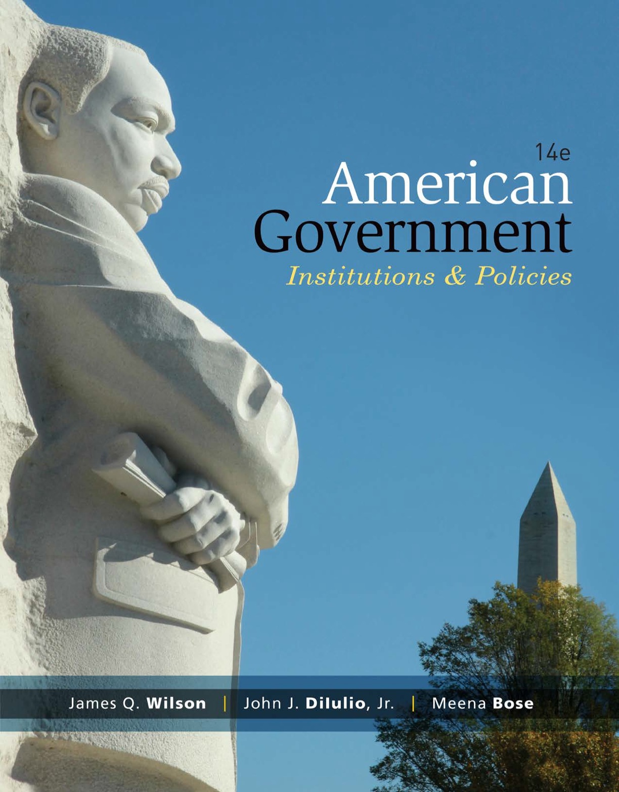 American government : institutions & policies