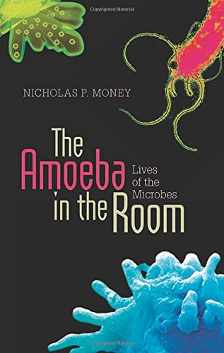 Amoeba in the Room