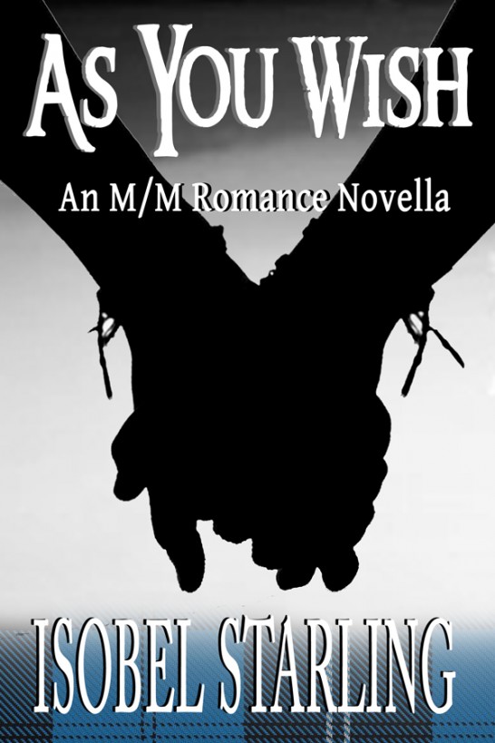 As You Wish (Shatterproof Bond Series 1)