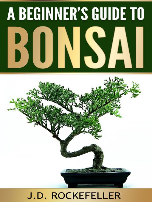 A Beginner's Guide to Bonsai