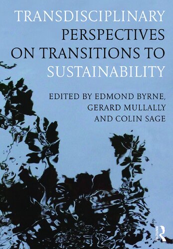 Transdisciplinary perspectives on transitions to sustainability