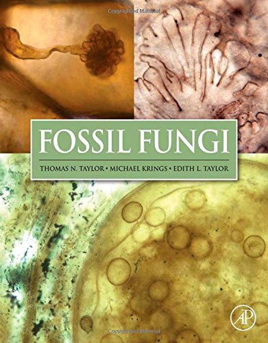 Fossil Fungi