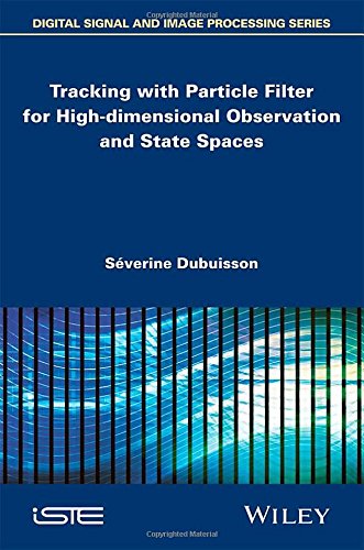 Tracking with particle filter for high-dimensional observation and state spaces